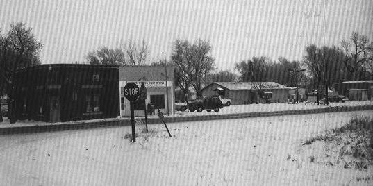 Alda, on a snowy day in 1988